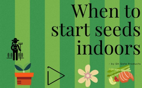 When to Start Seeds Indoors