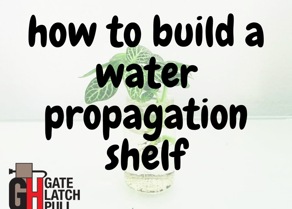 How To Build A Water Propagation Shelf